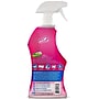 OdoBan Pet Solutions Laundry Stain Remover, 32 oz. (961561-Q6)~#|#~37ED060C-AB00-4E26-89A909832FEE6E35_sc7