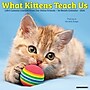 2026 Willow Creek What Kittens Teach Us 12" x 12" Monthly Wall Calendar (53201)~#|#~37EE87DD-60EF-4210-9A989B958CCB74A8_sc7