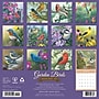 2027 Willow Creek Garden Birds - Artisan Series 12" x 12" Monthly Wall Calendar, Assorted Colors (65259)~#|#~38038216-5985-4769-A39EA8D14E3CB535_sc7