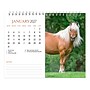 2027 BrownTrout Horse Lovers 7.5" x 6" Monthly Wall Calendar, Assorted Colors (9798330709397)~#|#~380D0D81-58A9-4230-B06F036938D3D0FE_sc7