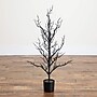 Nearly Natural Pre-Lit Artificial Halloween Black Spooky Twig Tree, 3' (T5234)~#|#~381C5FBA-C428-41EF-A4599E3860C8CC70_sc7