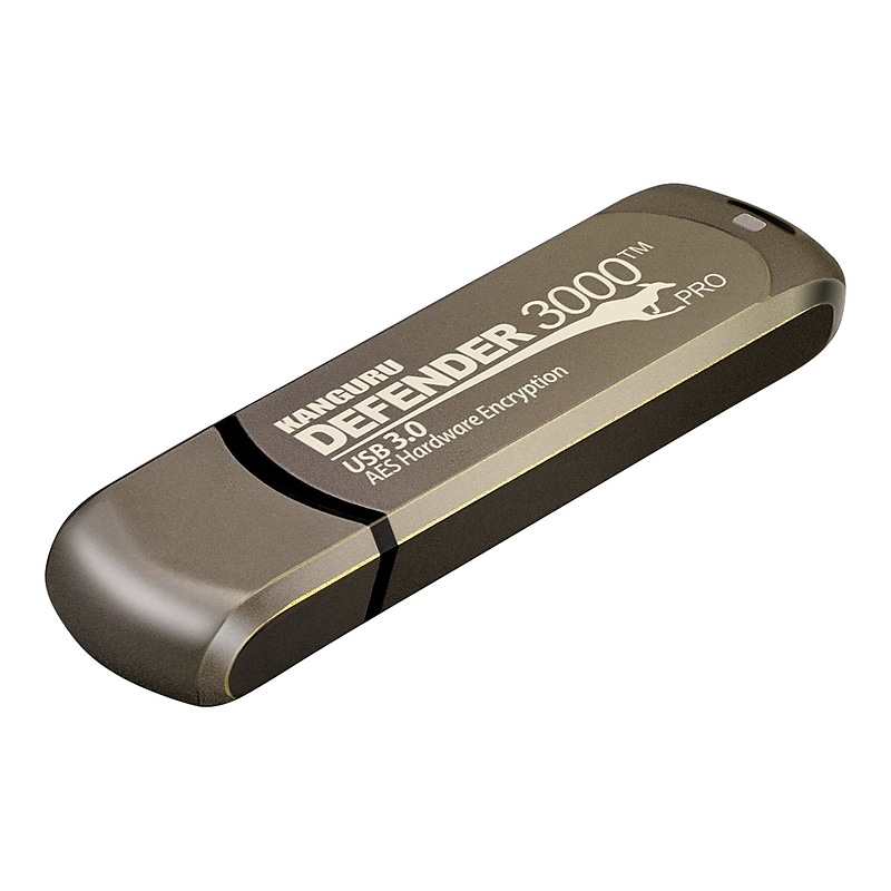 Kanguru Defender 3000 256GB USB 3.2 Flash Drive, Brown (KDF3000-256G) image 1