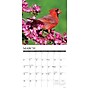 2026 Willow Creek Cardinals 12" x 12" Monthly Wall Calendar (50552)~#|#~382DC911-DE4A-4830-B4BE4B19AB973139_sc7