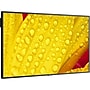 Sharp M 50" Wall Mount Commercial Monitor for Digital Signage (M501-2)~#|#~382E551C-DE3B-4749-BB5A93CA20210A2F_sc7