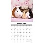 2026 Willow Creek Guinea Pigs 12" x 12" Monthly Wall Calendar (51405)~#|#~3835F211-5F93-48BC-ADC3132E380F98F4_sc7