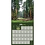 2026 TF Publishing National Parks 12" x 12" Monthly Wall Calendar, Multi (26-1020)~#|#~3836887A-4EB9-46FE-A580DDEFF2C1A7EB_sc7
