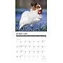 2027 Willow Creek Papillons 12" x 12" Monthly Wall Calendar, Assorted Colors (61718)~#|#~383C4DF6-DF57-4ED4-871BA77963DD975F_sc7
