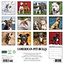 2027 Willow Creek American Pit Bull Terriers 12" x 12" Monthly Wall Calendar, Assorted Colors (58756)~#|#~383C6852-2B71-438F-8EB9AFD762B82B5D_sc7