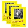 Strathmore 300 Series 9" x 12" Charcoal Sketch Pad, 32 Sheets/Pad, 3/Bundle (STTP33010903-3)~#|#~38553A00-5437-493C-BD9A27312ABEC1AD_sc7
