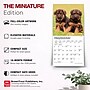 2027 BrownTrout German Shepherd Puppies 7" x 7" Monthly Wall Calendar, Assorted Colors (9798330714780)~#|#~3869F460-3FEB-4E18-A198C32B1442CAF5_sc7