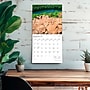 2026 BrownTrout Connecticut Wild & Scenic 12" x 12" Monthly Wall Calendar (9798330703029)~#|#~386F5E98-43CA-4E65-8C96477334348B4E_sc7