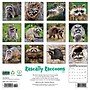 2026 Willow Creek Rascally Raccoons 12" x 12" Monthly Wall Calendar (52570)~#|#~389145AF-46C8-4152-A095CCF9DC376219_sc7