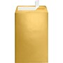 LUX 6 x 9 Open End Envelopes, Gold Metallic, 500/Box (1644-07-500)~#|#~38C4F61E-72C1-4A23-8EEFAF0E7B26E354_sc7