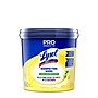 Lysol Pro Disinfecting Wipes, Lemon & Lime Blossom, 800 Wipes/Bucket (1920099856X)~#|#~38C93CDE-BF5E-4908-A9B83E44EB435A63_sc7