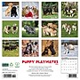 2026 Willow Creek Puppy Playmates 12" x 12" Monthly Wall Calendar (52525X)~#|#~38D2A957-E9C9-43CB-80CC80B2DC10D5DD_sc7