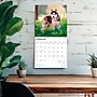 2026 BrownTrout Siberian Huskies 12" x 12" Monthly Wall Calendar (9798330705580)~#|#~38D6C75C-AA52-41D1-BEB067561795CA50_sc7