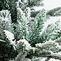 Nearly Natural 7-ft Pre-Lit Artificial Fraser Fir Flocked Christmas Tree with Instant Connect Technology (T4790)~#|#~38D967A4-4448-4F13-ADB73ECE5EECFFE4_sc7