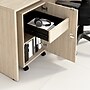 Bush Business Furniture Assure 26"H Storage Cabinet, Natural Elm (AUS116NESU)~#|#~38E6D023-B347-46CB-A312BDC293B1CE5B_sc7