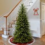 National Tree Company Dunhill Fir Artificial Christmas Tree, 6.5 ft. (DUSLH1-65)~#|#~38FE3EFB-BB67-458A-9E29B8BE2CD4A02E_sc7