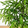 Nearly Natural Artificial Real Touch Norfolk Island Pine in Metal Tin Planter, 3' (T5384)~#|#~38FF9C56-04C2-4511-A73E5377490F3355_sc7