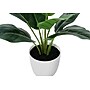 Monarch Specialties Inc. 17" Artificial Aureum Plant in Pot (I 9502)~#|#~393B66C0-8A9E-4EA8-9F5253A209B6778E_sc7