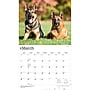 2027 BrownTrout For the Love of German Shepherds 14" x 12" Monthly Wall Calendar, Assorted Colors (9798330709250)~#|#~394F5AE7-4D42-4B32-AA1156D648E205C8_sc7