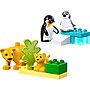 LEGO DUPLO Town Wild Animal Families: Penguins & Lions, 10 Pieces (10442)~#|#~39544319-F4C1-4394-A2F0DD7D7B0E898A_sc7