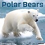 2027 Willow Creek Polar Bears 12" x 12" Monthly Wall Calendar, Assorted Colors (61831)~#|#~395A6263-A28D-4EE9-A23CAB4473862542_sc7
