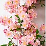Nearly Natural 30" Artificial Pink Cherry Blossom Wreath (W1365)~#|#~395BD94A-F337-4D16-9C2697760801DECA_sc7