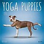 2026 Plato Yoga Puppies 12" x 12" Monthly Wall Calendar (9798330701995)~#|#~3964F9A0-0B35-4DF1-B302182DE3440257_sc7