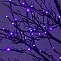 Nearly Natural Pre-Lit Halloween Deluxe Black Twig Artificial Tree, 8' (T5172)~#|#~39881B79-DFF7-4647-9E04CD6E17E76995_sc7