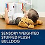 Bouncyband Happy Hugs Sensory Weighted Plush Bulldog (BBALPBD)~#|#~399D8D8F-88EA-4546-AF8BFB3FC56E28E6_sc7