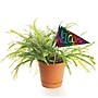 S&S Scratch Artist Pennant Flags, 100/Pack (PE2206)~#|#~39A62C04-C8B3-425E-86DAE06BCBCD8D89_sc7