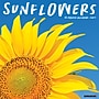2027 Willow Creek Sunflowers 12" x 12" Monthly Wall Calendar, Assorted Colors (62494)~#|#~39B42E77-85C7-4154-845266D99D1F7185_sc7