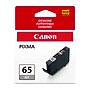 Canon 65 GY Gray Standard Yield Ink Cartridge (4219C002)~#|#~39E057E1-16FD-4D92-87104E1CCA0B3E27_sc7