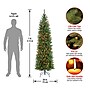 National Tree Company Kingswood® Fir Artificial Christmas Trees KW7-313-70~#|#~39F9EC13-B6CC-4436-BAA15F7D38C3C540_sc7