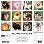 2027 Willow Creek Multi 12" x 12" Monthly Wall Calendar, Assorted Colors (61855)~#|#~39FD22ED-6D71-4A63-84CBE29AF12B55AD_sc7