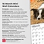 2026 BrownTrout Border Collies 7" x 7" Monthly Wall Calendar (9798330702558)~#|#~3A09DC3F-D376-497B-B2A020DE52B3A1A0_sc7