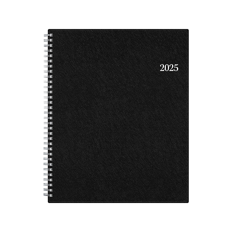 2025 Blue sky 8.5" x 11" Weekly & Monthly Appointment Book, Plastic Cover, Black (150848) image 1