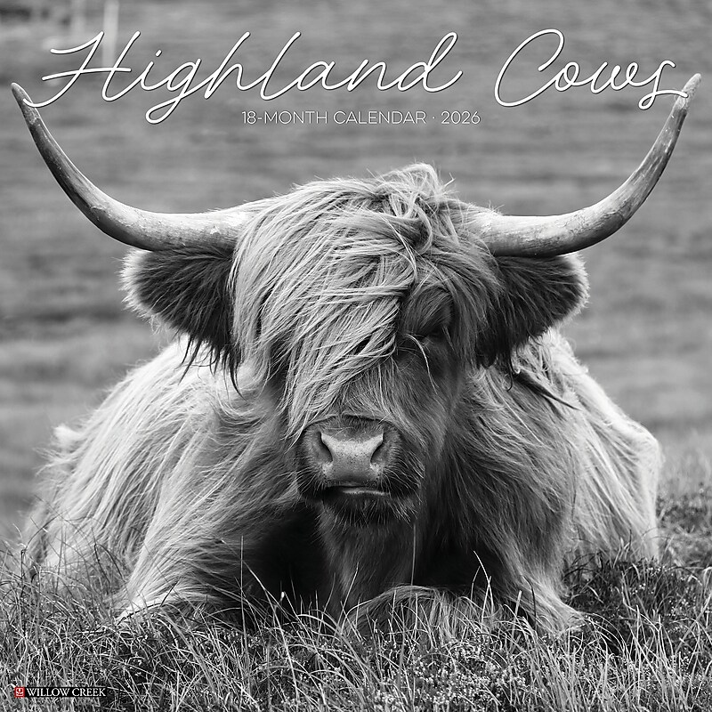 2026 Willow Creek Highland Cows 12" x 12" Monthly Wall Calendar (55847) image 1