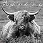 2026 Willow Creek Highland Cows 12" x 12" Monthly Wall Calendar (55847)~#|#~3A253240-7E68-4140-B0F0A6E6296B7B91_sc7