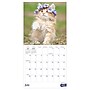 2027 TF Publishing Kittens 7" x 7" Monthly Wall Calendar, Multicolored (27-2002)~#|#~3A334E1D-6AA8-4F0F-A1118DA03B67E1CB_sc7