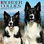 2026 Willow Creek Border Collies 12" x 12" Monthly Wall Calendar (50323)~#|#~3A389862-7462-4E89-91DA8E0F2F8C4A40_sc7