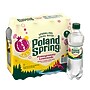 Poland Spring Sparkling Water, Pomegranate Lemonade, 16.9 oz., 24 Bottles/Carton (12349576)~#|#~E1AE1805-D035-4AEC-8AD7EF30CD732CC9_sc7