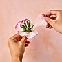 Lifelines FlowCrafts: Paper Flower Bouquet (167001)~#|#~3AA08623-8573-4B11-B930FF27006EE10D_sc7