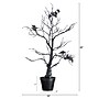 Nearly Natural Pre-Lit Artificial Halloween Black Spooky Twig Tree, 2' (T5230)~#|#~3AADC2B6-DAB5-4519-82E5F67D3FA54A7B_sc7