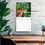 2026 BrownTrout Sunshine State Florida Places 12" x 12" Monthly Wall Calendar (9798330707683)~#|#~3AAE84F1-43EE-463F-931F90AAFA8D22DC_sc7