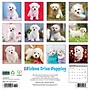 2026 Willow Creek Bichon Frise Puppies 12" x 12" Monthly Wall Calendar (50231)~#|#~3AB975DD-E6CC-4A5F-B066FCC965635963_sc7