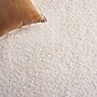 Safavieh Shag Collection 4' x 4' Square Indoor Area Rug, Machine Made, Ivory (SG151-1212-4SQ)~#|#~3AC433D2-7672-43BF-A3F7AA20B08CFA08_sc7