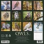 2027 Willow Creek Owls 12" x 12" Monthly Wall Calendar (61664)~#|#~3AF97AE8-D33E-4C0A-AC152D48A71B3D3B_sc7